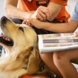 Two people reading a book with a dog sitting between them.