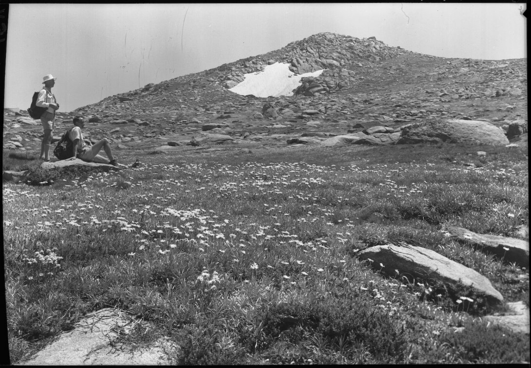 Two people at the bottom of Mount Townsend with flowers on the ground and rocks up the mountain