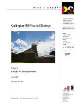 Thumbnail - Callington Mill precinct strategy [electronic resource]