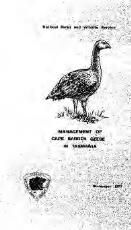 Thumbnail - Management of Cape Barren geese in Tasmania