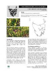 Thumbnail - Tasmanian threatened species listing statement : vascular plants / Department of Primary Industries, Water and Environment