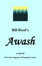 Thumbnail - Awash : a novel