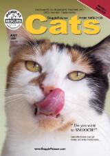 Thumbnail - DoggieRescue cats.