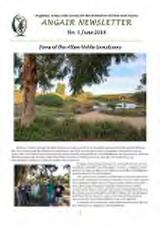 Thumbnail - Angair Inc. newsletter.