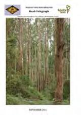 Thumbnail - Bush telegraph