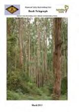 Thumbnail - Bush telegraph