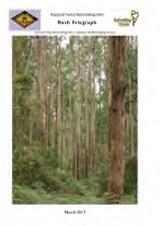 Thumbnail - Bush telegraph