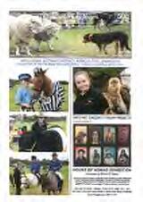 Thumbnail - The Apollo Bay news.