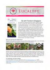 Thumbnail - Eucalypt : AAFBG newsletter