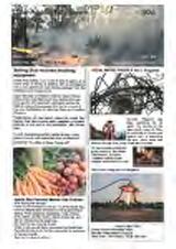 Thumbnail - The Apollo Bay news.