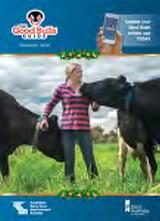 Thumbnail - The good bulls guide