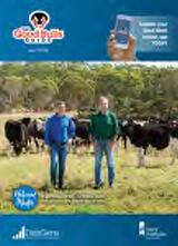Thumbnail - The good bulls guide
