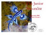 Thumbnail - The Junior naturalist.