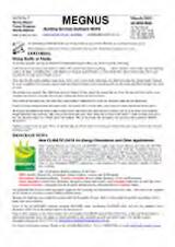 Thumbnail - MEGNUS : building services software news.