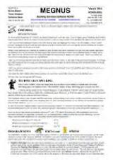 Thumbnail - MEGNUS : building services software news.