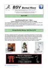 Thumbnail - Bonsai news.