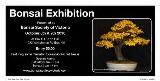 Thumbnail - Bonsai news.