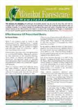 Thumbnail - Newsletter