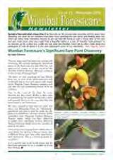 Thumbnail - Newsletter