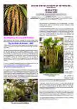 Thumbnail - Newsletter