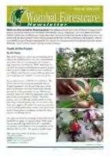 Thumbnail - Newsletter