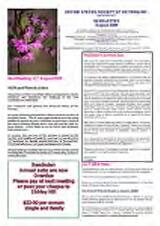 Thumbnail - Newsletter