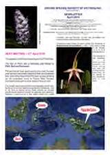 Thumbnail - Newsletter