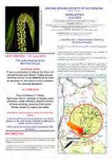 Thumbnail - Newsletter