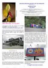 Thumbnail - Newsletter