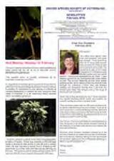 Thumbnail - Newsletter