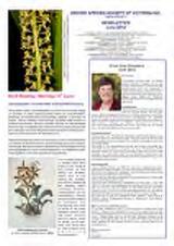 Thumbnail - Newsletter