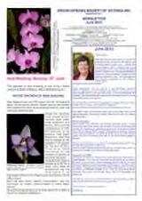 Thumbnail - Newsletter