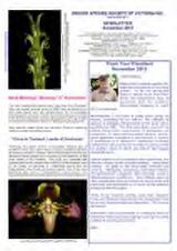 Thumbnail - Newsletter