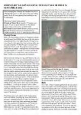 Thumbnail - Newsletter