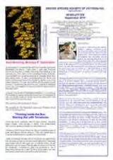 Thumbnail - Newsletter