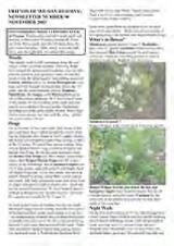 Thumbnail - Newsletter