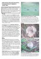 Thumbnail - Newsletter