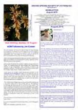 Thumbnail - Newsletter