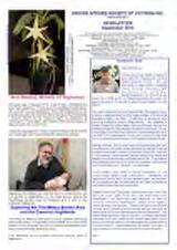 Thumbnail - Newsletter