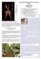 Thumbnail - Newsletter