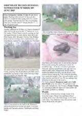 Thumbnail - Newsletter