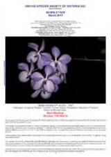 Thumbnail - Newsletter