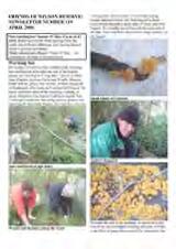 Thumbnail - Newsletter