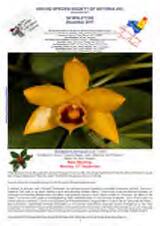 Thumbnail - Newsletter