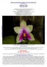 Thumbnail - Newsletter