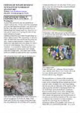 Thumbnail - Newsletter