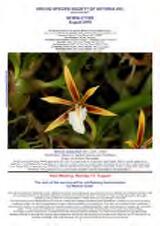 Thumbnail - Newsletter