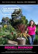 Thumbnail - Riddell roundup.