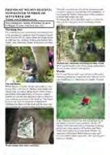 Thumbnail - Newsletter