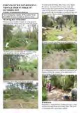 Thumbnail - Newsletter